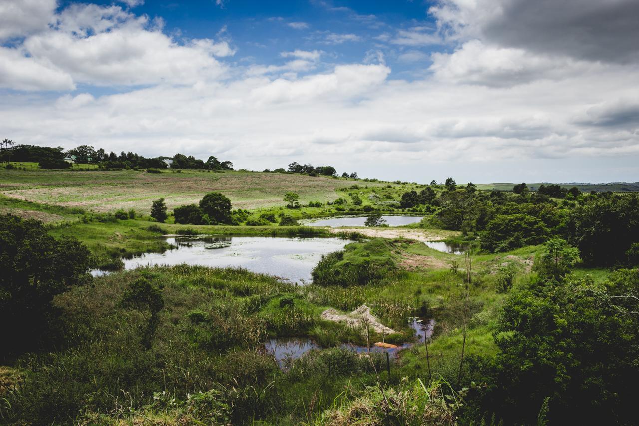 Oribi Gorge Guest Farm Otel Glendale Dış mekan fotoğraf