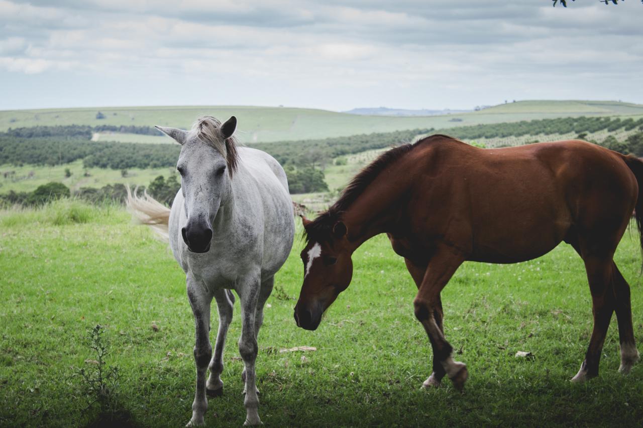 Oribi Gorge Guest Farm Otel Glendale Dış mekan fotoğraf